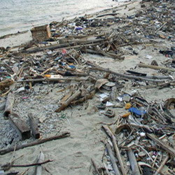 Sea pollution images - Jakarta Bay, moaning crushed Pollutants, pollution picture in jakarta