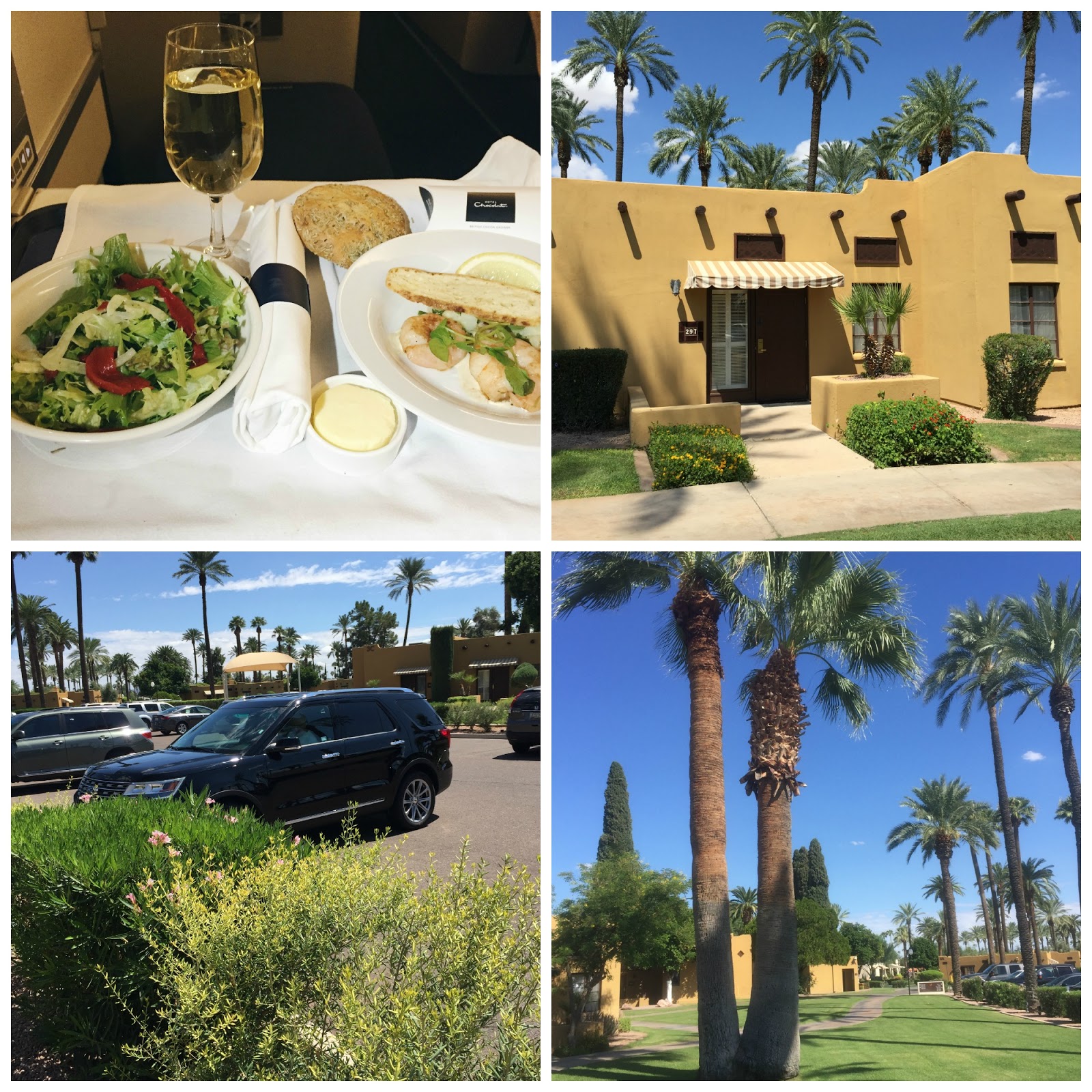 The Beauty Harbour Holiday Snaps in Arizona