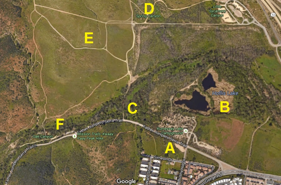 Birding Site Guide Old Mission Dam & Kumeyaay Lake Greg in San Diego