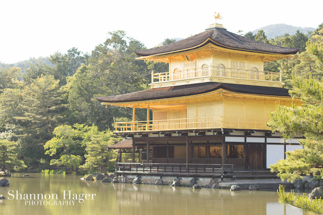 Shannon Hager Photography, Kyoto, Kinkaku-ji, Golden Temple