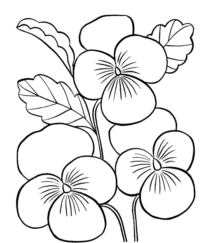 Kids Page: - Flowers - Flowers Coloring Pages