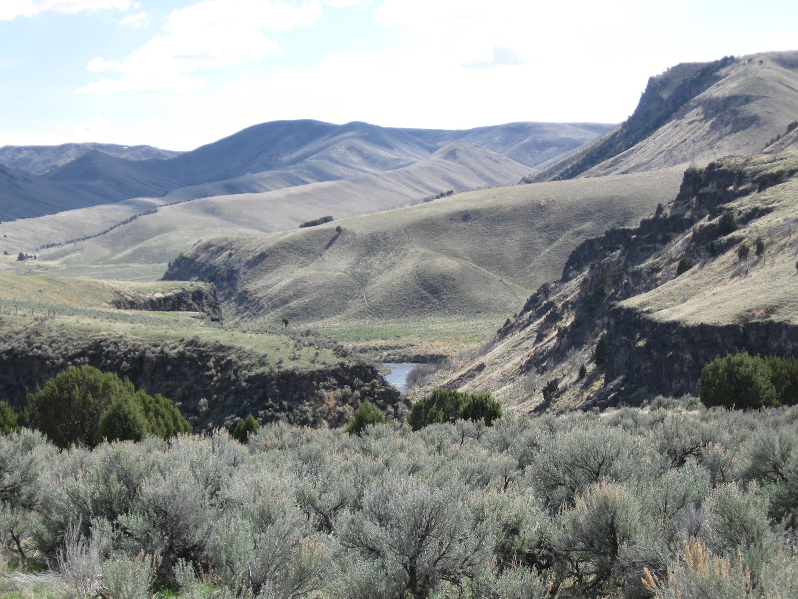 Ogden Insights Things To Do In Idaho Wolverine Canyon and Forty Horse