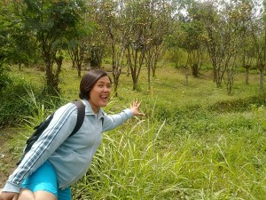 kebon jeruk