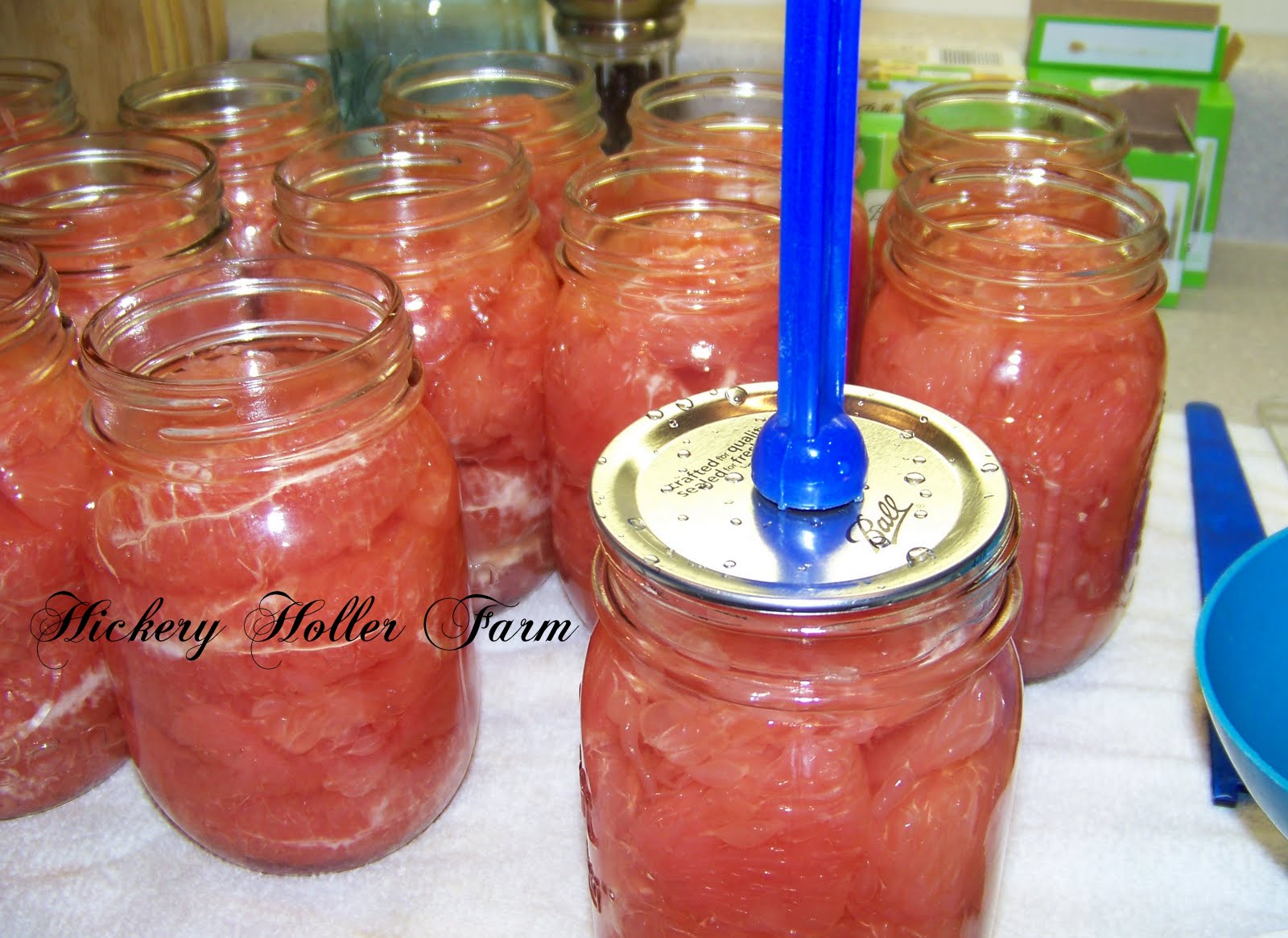 Hickery Holler Farm Canning Grapefruit