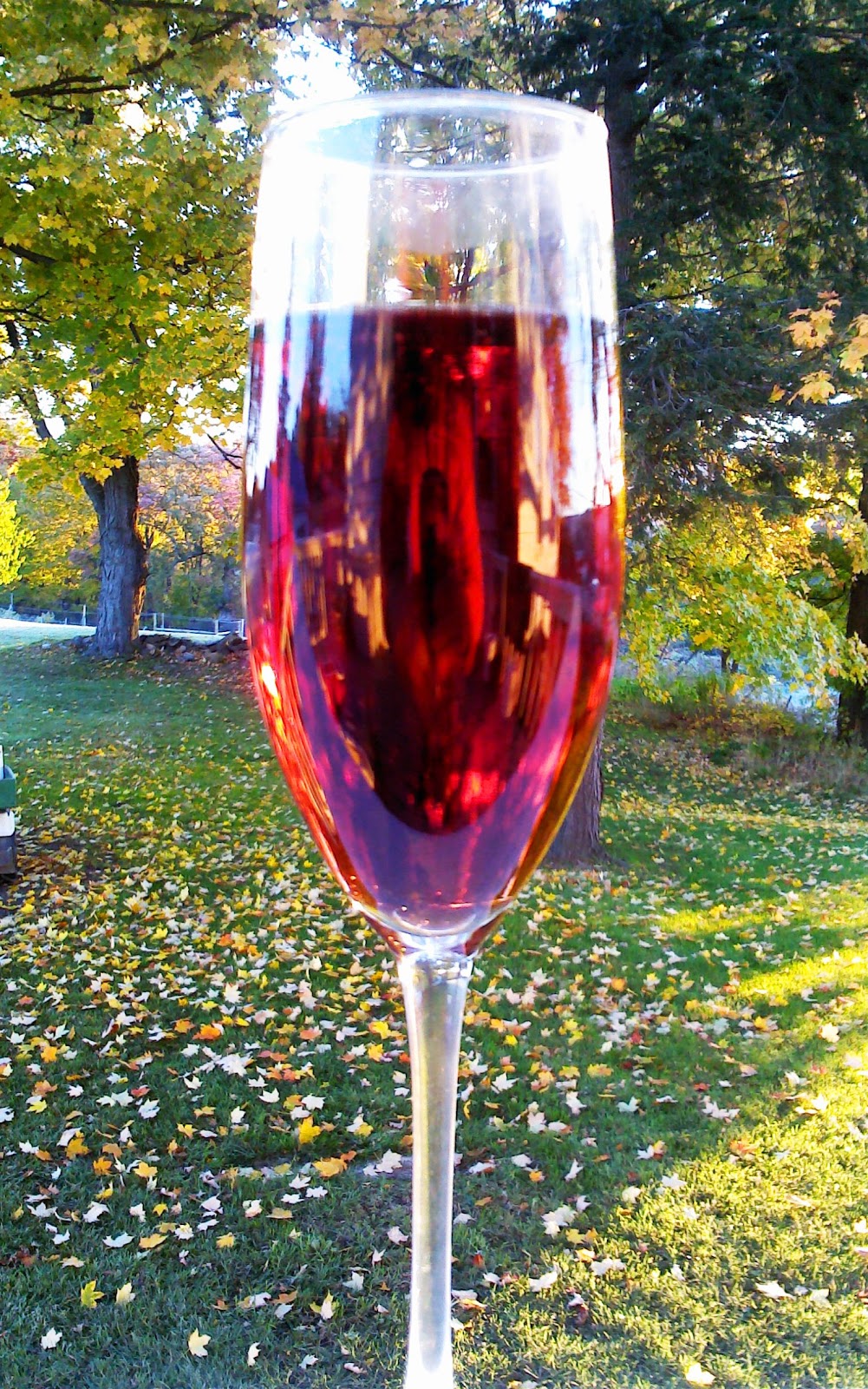 East Coast Wineries HUDSON VALLEY INTRODUCES CIDER KIR ROYALE