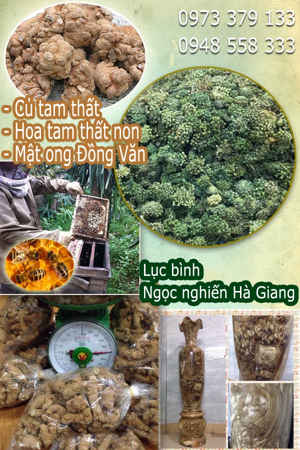 Địa chỉ: Số 47, TT 20, KĐT Văn Phú, Hà Đông