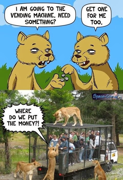 Vending-machine-for-lions-animals-comics