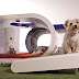 Samsung diseña una casa para perros de lujo