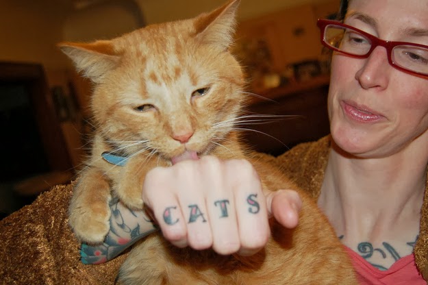 Yetaland cat tattoo