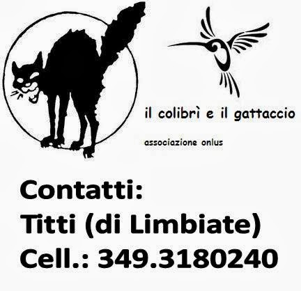 Contatti