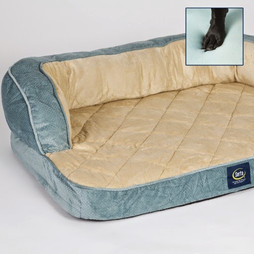 Life With Beagle Serta pet beds Your dogs may not want to share