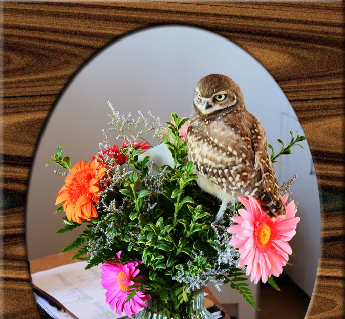 Prairie Nature Burrowing Owl Floral Arrangement