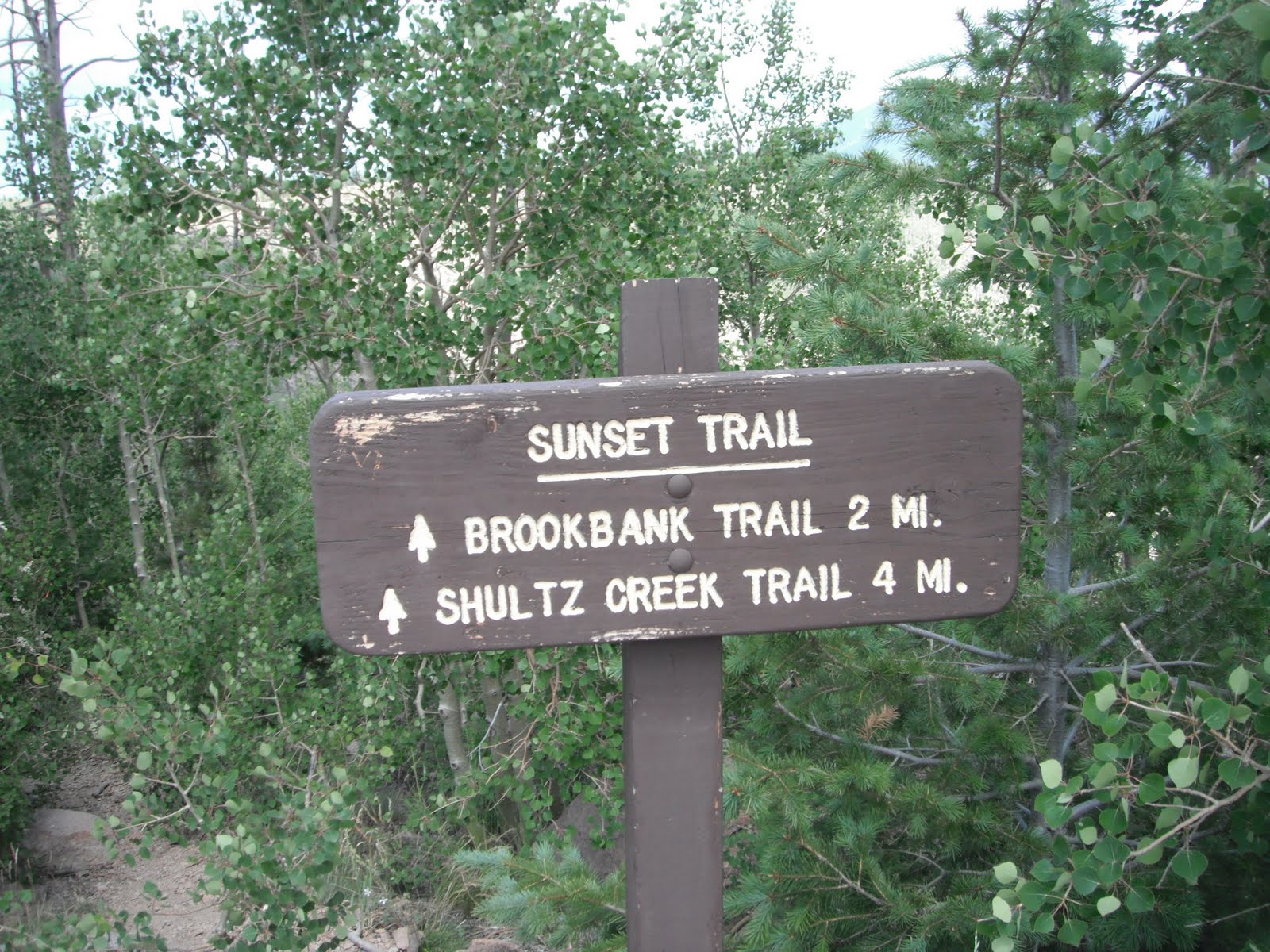 Travel Tales Mount Elden Loop Hike Flagstaff AZ