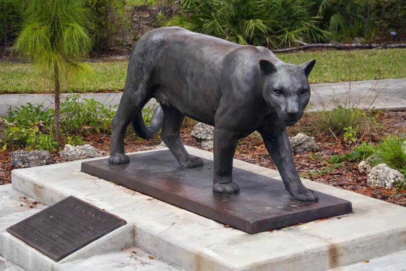 Report from the Florida Zone Florida Panther