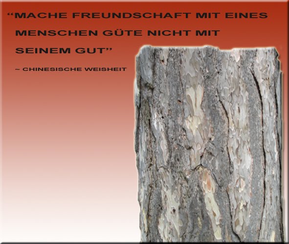 Zitate Freundschaftsspruche Motivation April 2011