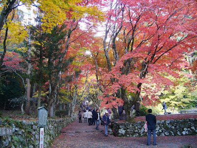 滋賀県・奥びわ湖 鶏足寺の紅葉