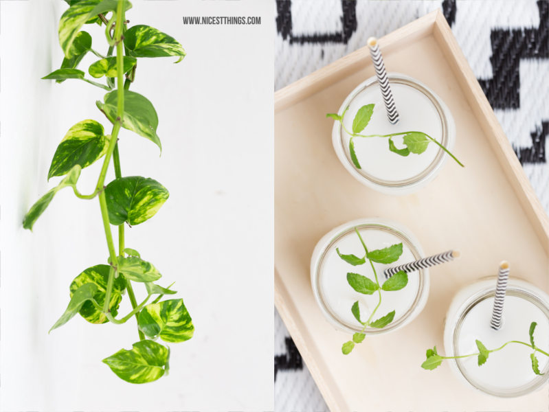 Diy Pflanzenwagen Bauen Cuchikind