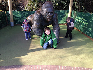 ZSL London Zoo - Guy Gorilla