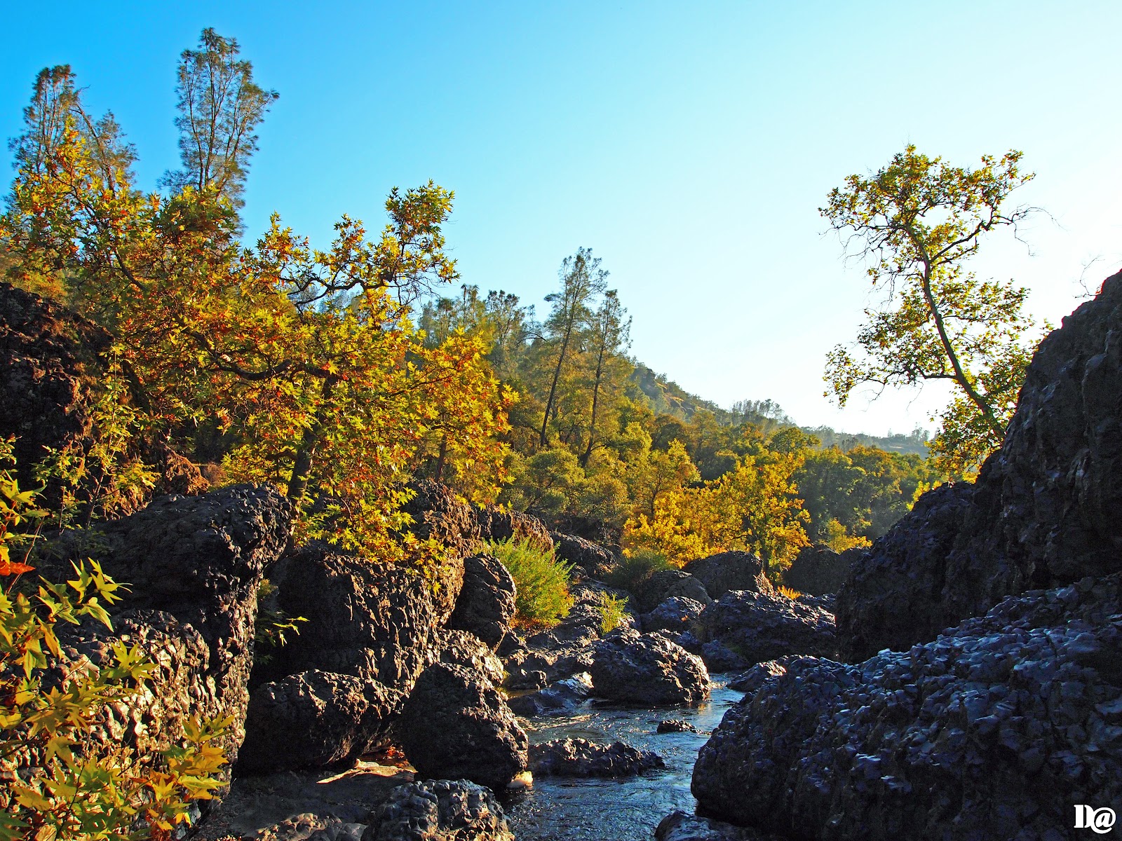 Upper Bidwell