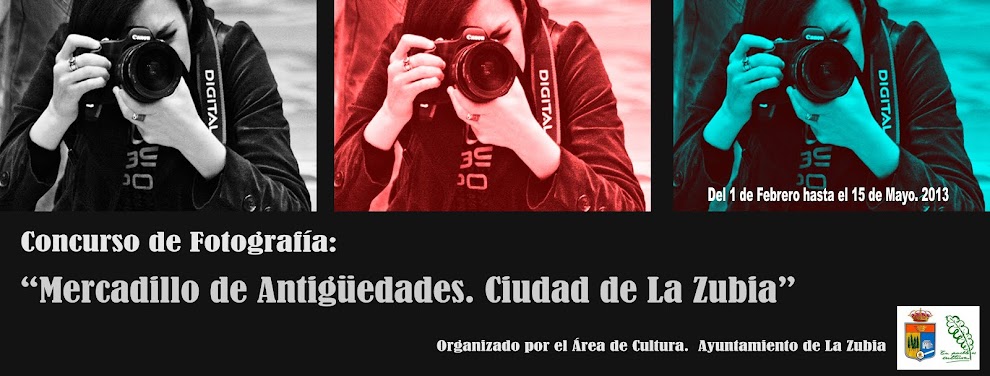 Concurso de Fotografía. "Mercadillo de Antigüedades. Cidudad de La Zubia"