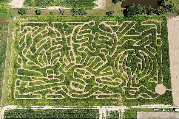 Beriswill Farms Family Corn Maze coupon (up to 8 people) $25! @usfg #thisiscle
