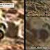 Curiosity rover encontra RODAS em Marte: Seria a prova de restos de uma antiga civilização?