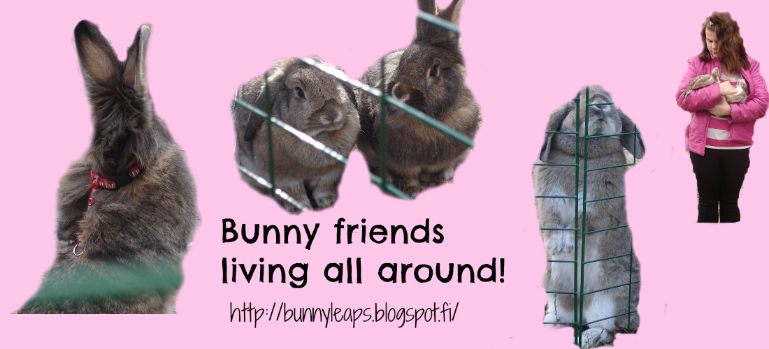 Bunny Friends Living All Around