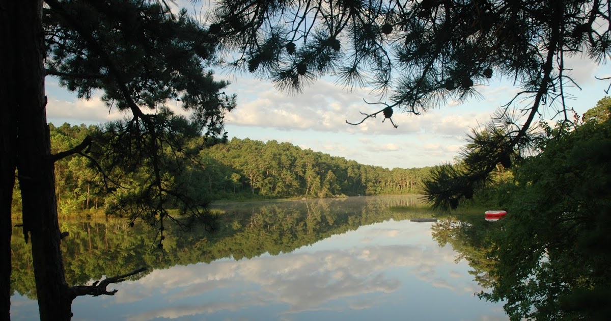 Party Resources Dinner Party on Cape Cod