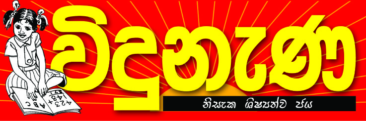 The Grade 5 / Year Five Scholarship Exam Paper2013 will be issued with