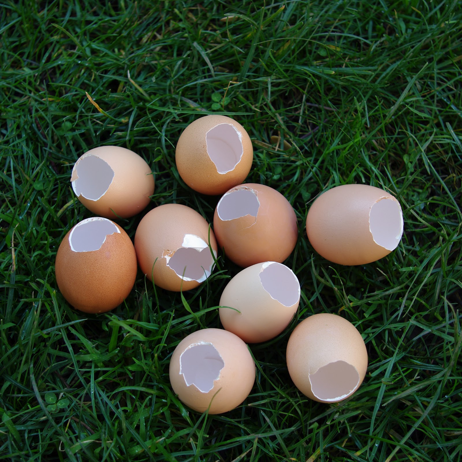 passengers on a little spaceship collecting eggs for easter