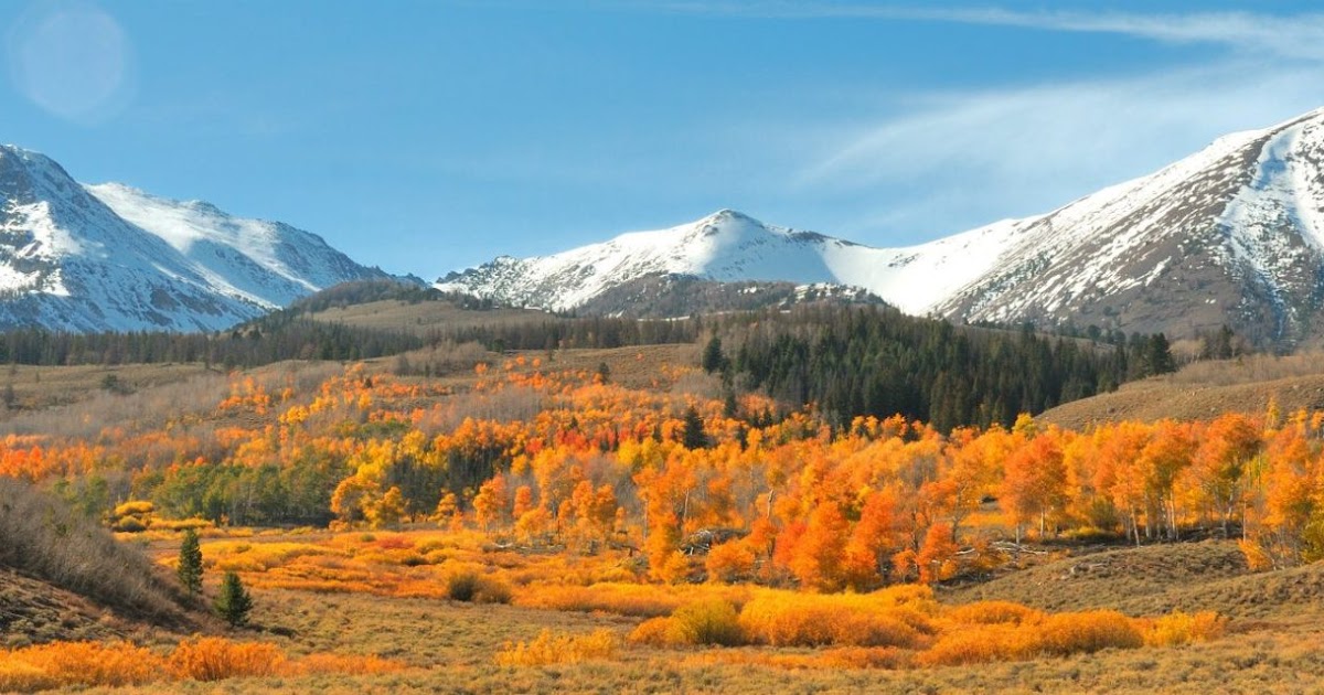 Picture Our World Copper Basin Idaho