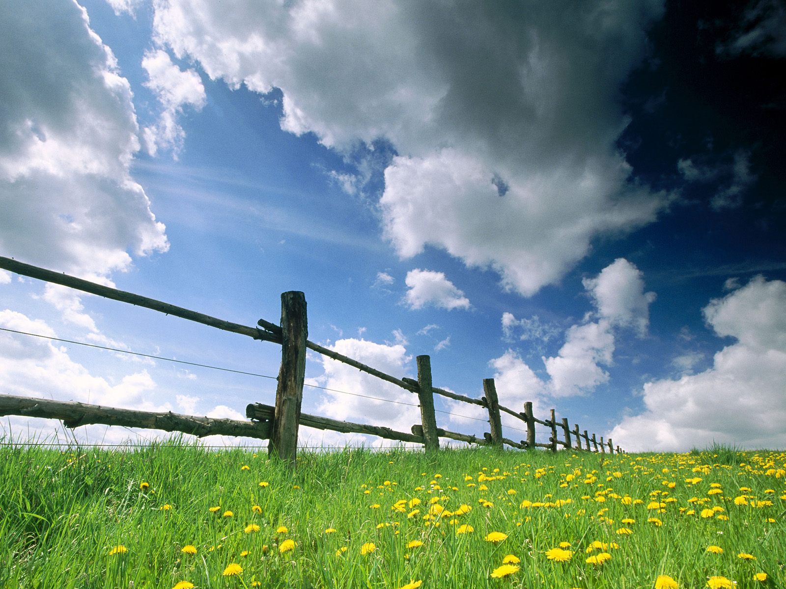 http://2.bp.blogspot.com/-j9slkphCYko/TjyhqbWTeYI/AAAAAAAAKj4/Uk5M5rdvLK0/s1600/Best%20Garden%20Wallpaper.jpg