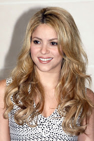 Hair Style Trends Long Shag Hairstyle Ideas