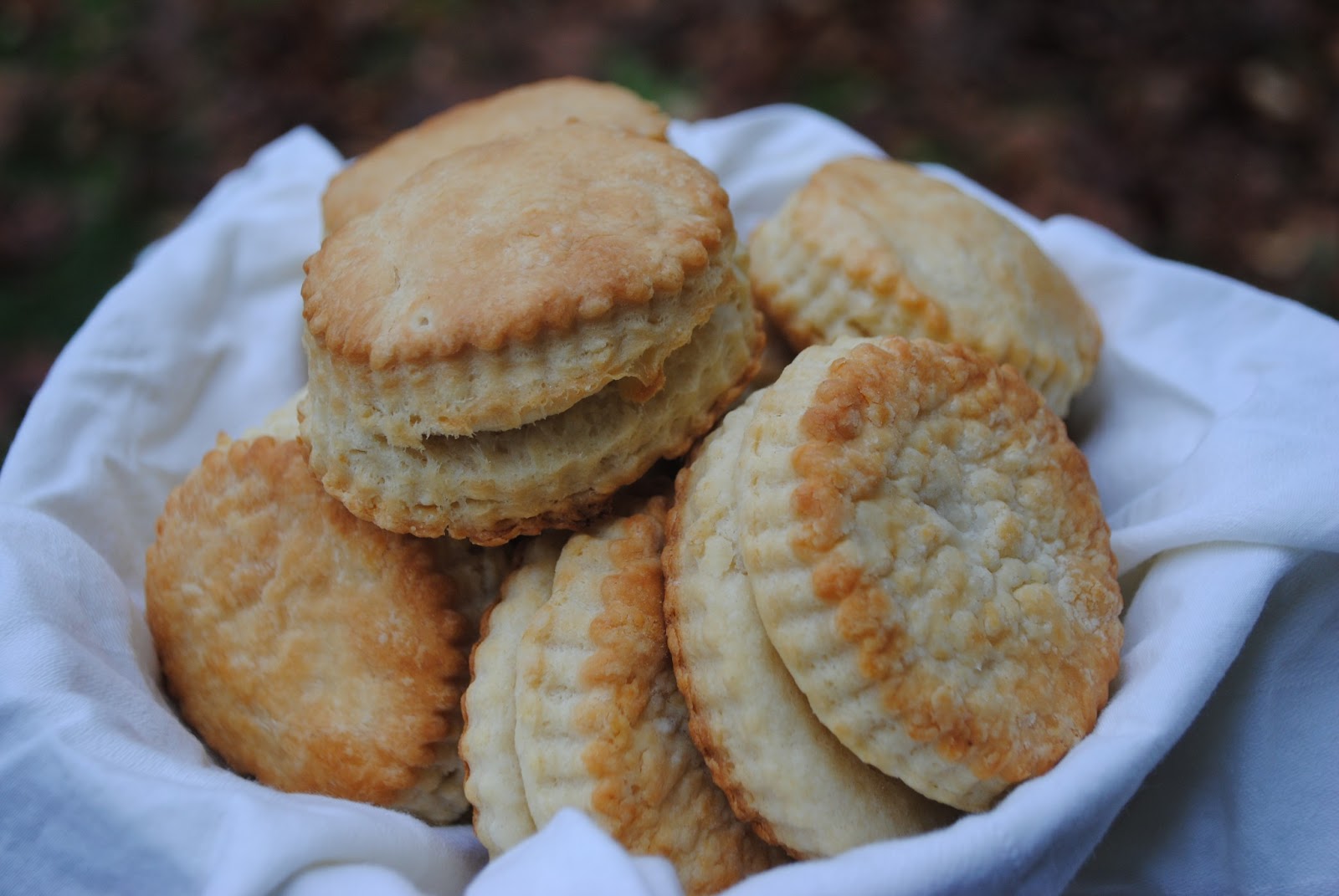 Homemade Biscuits!!! Part 1 The Cream Biscuit The Enchanted Spoon