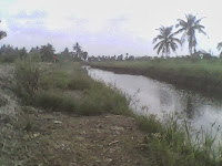 Spot gabus di Pontianak