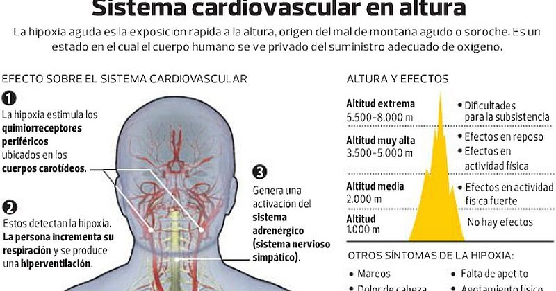 EMS SOLUTIONS INTERNATIONAL EFECTOS DE LA ALTURA EN EL SISTEMA