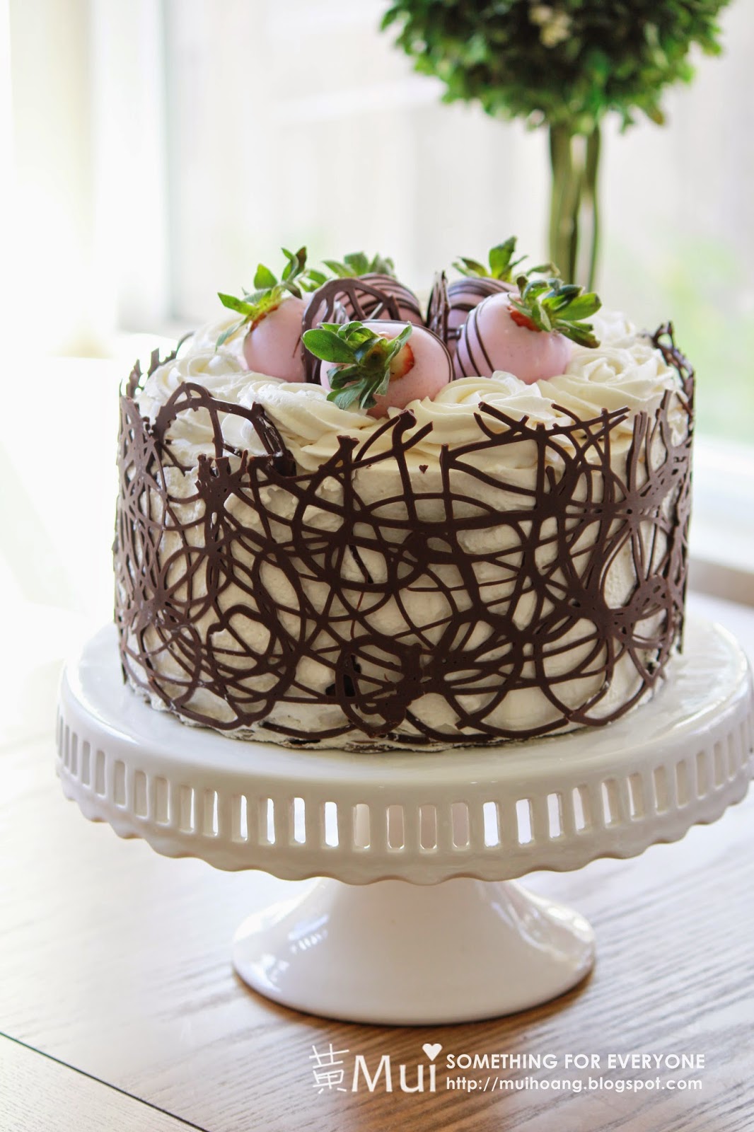 Something for Everyone!: Chocolate Cage Strawberry Cake
