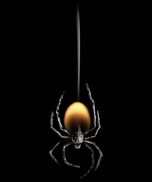 12-Match-Spider-Flame-Russian-Photographer-Illustrator-Stanislav-Aristov-PolTergejst-www-designstack-co