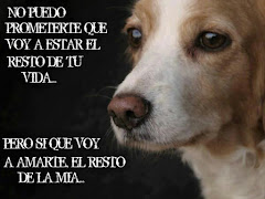 No te parece suficiente motivo? Adopta y salva una vida....