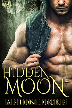 Hidden Moon