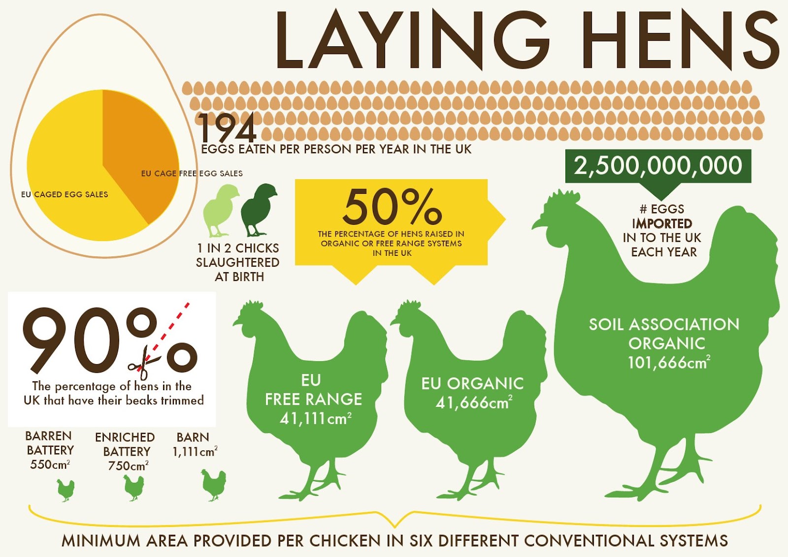 Our New Life in the Country The Chicken and the Egg