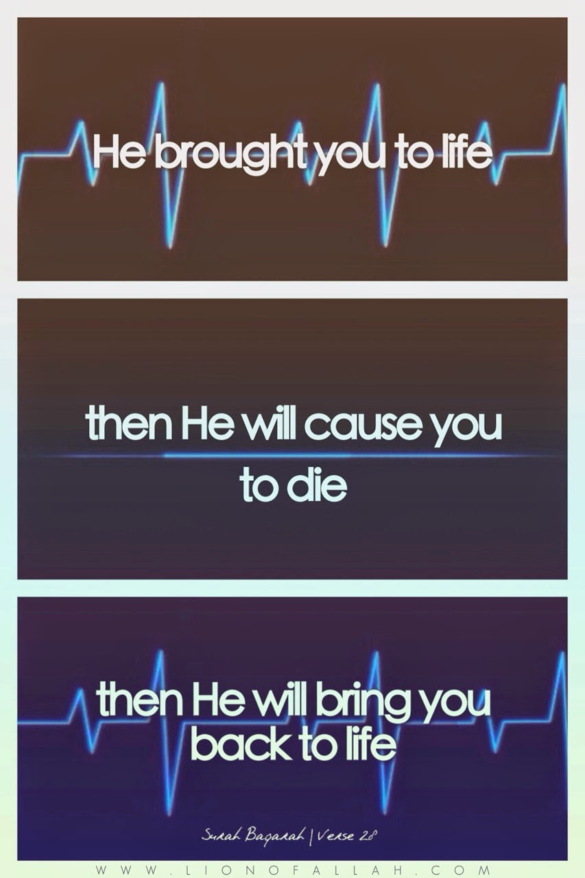 The Vanilla Mint Papers Love Is Crying