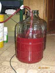 Racking the Wine