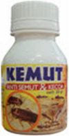 Kemut - Kecoa Semut
