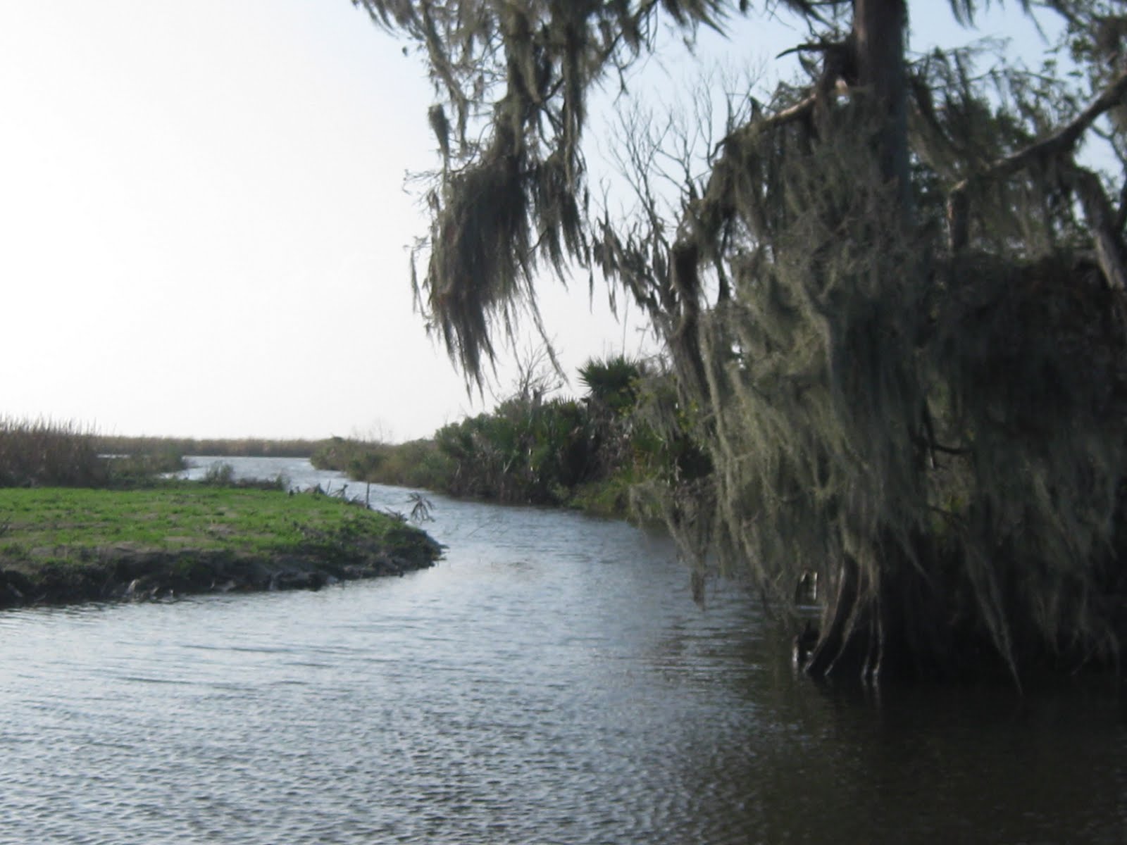Tugboatdude Louisiana A True Sportsmans Paradise