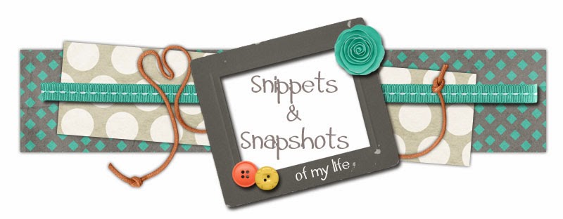 Snippets & Snapshots