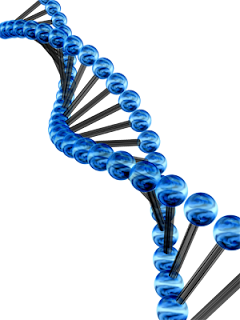 Dependência Química é hereditária ? - http://www.mais24hrs.blogspot.com.br