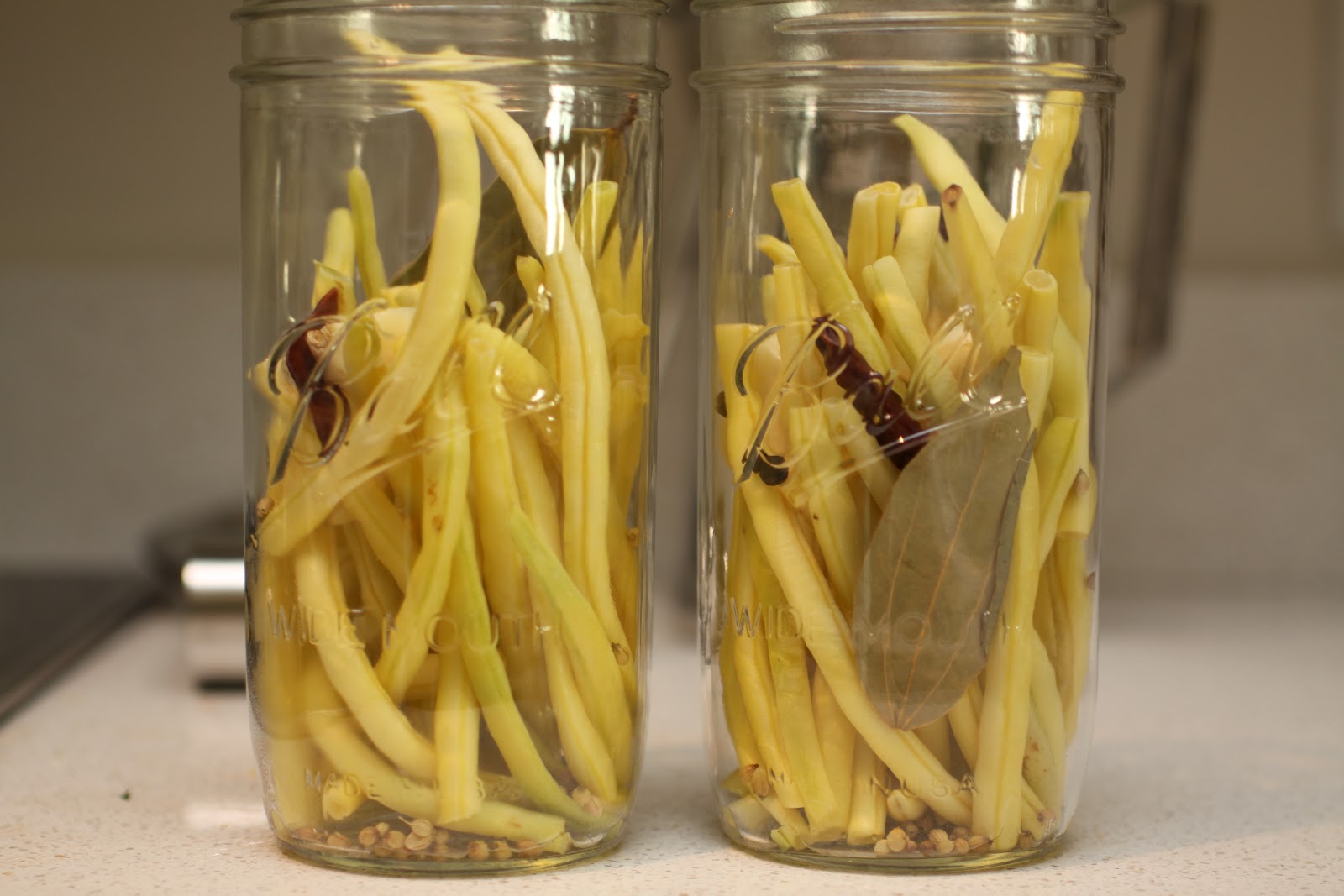 Dill Yellow Beans Pickle Recipe at Krystal Mayers blog