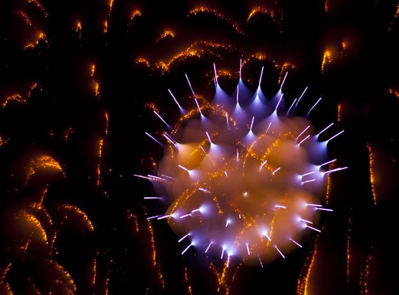 david johnson fotografia longa exposição foco fogos de artifício ouriços espinhos david johnson fotografia longa exposição foco fogos de artifício ouriços espinhos