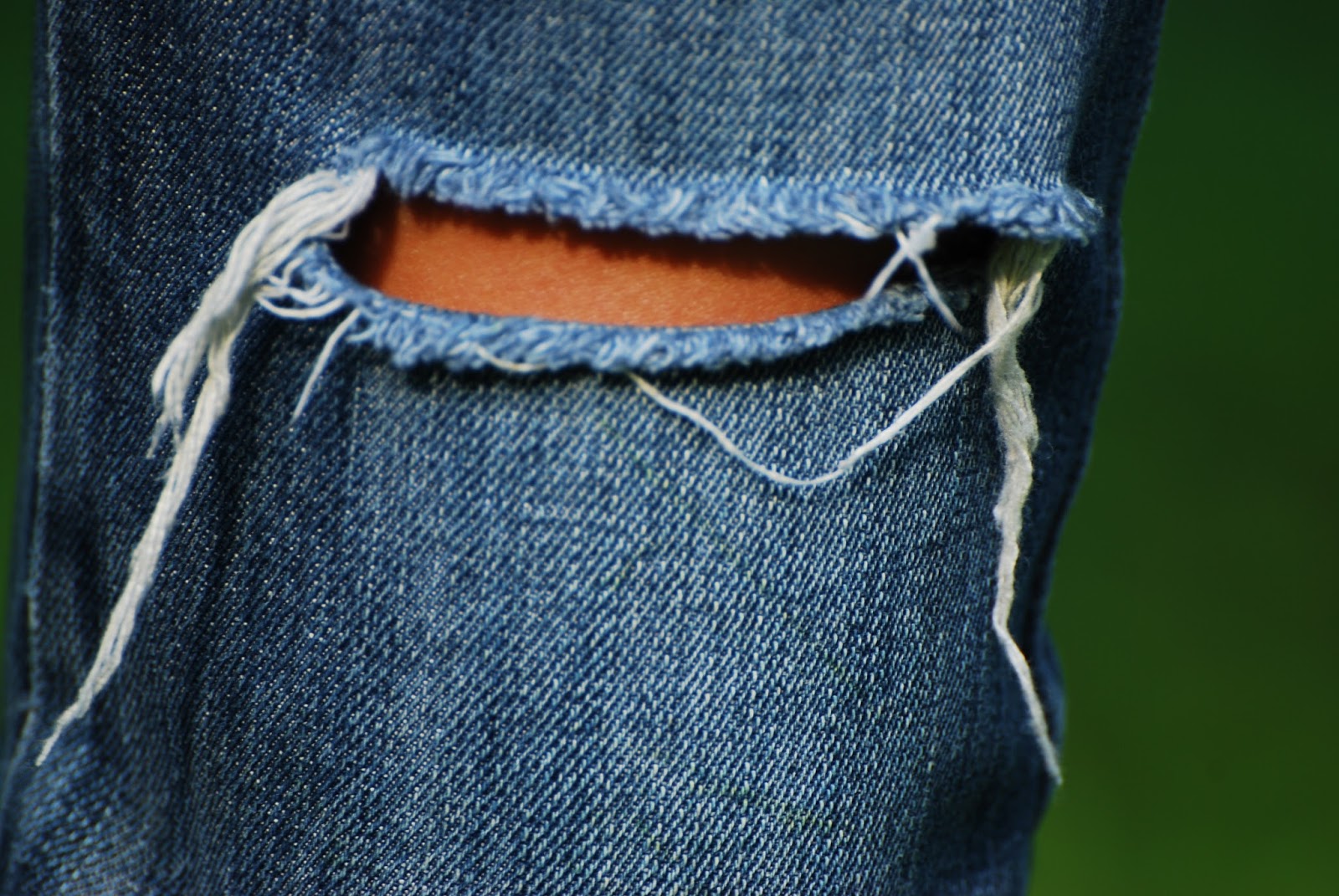 French Vocabulary Illustrated accroc